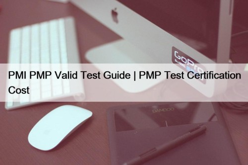 PMI PMP Valid Test Guide | PMP Test ...